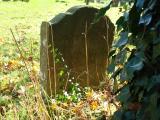 image of grave number 351341